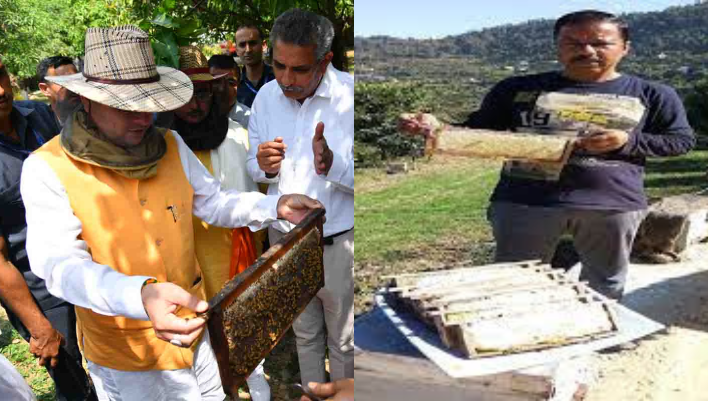 Honey Processing is providing millions to the youth