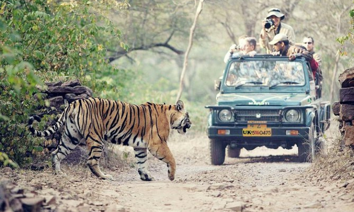 Rajaji National Park