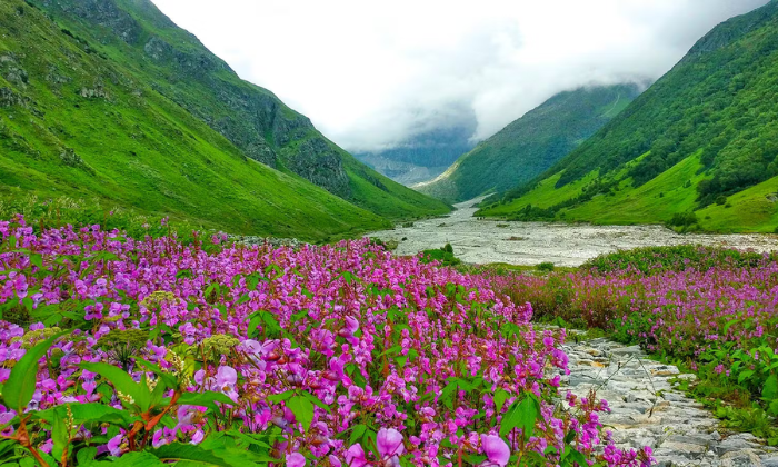 Places To Visit In Uttarakhand In Monsoon