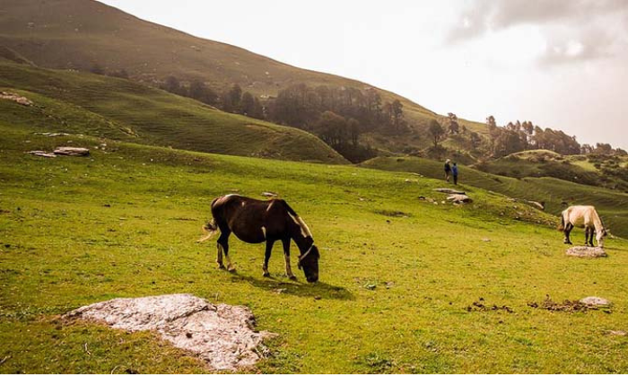 Best Bugyals Of Garhwal