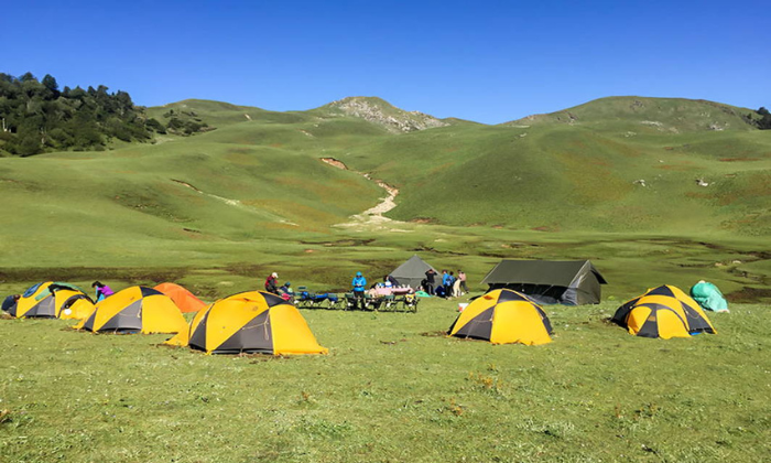 सिर्फ घास के मैदान नहीं ये उत्तराखंड के बुग्याल, स्वर्ग के छोटे से ...