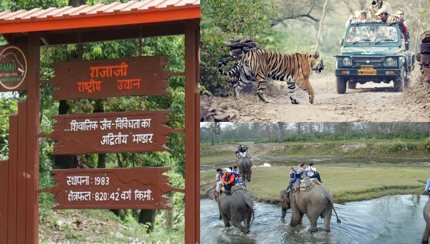 Rajaji National Park