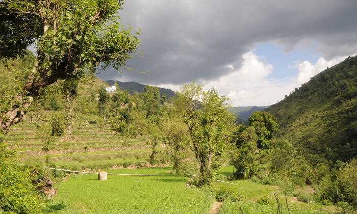 Dudhatoli Of Uttarakhand