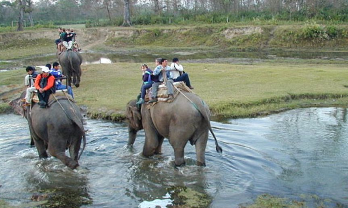 Rajaji National Park