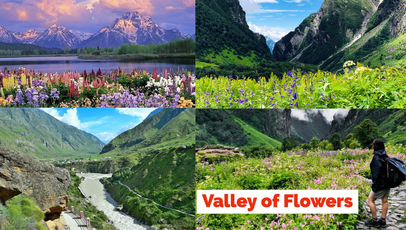 Best Trek Of Uttarakhand Valley Of Flowers